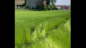 Les fesses à l air dans les champs et bien plus encore