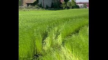 Les fesses à l air dans les champs et bien plus encore