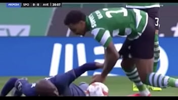 Vídeo de verificação