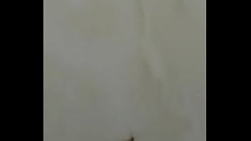 Baratas fodendo loucamente vericalmente pt2