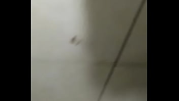 Baratas fodendo loucamente vericalmente pt2