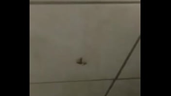 Baratas fodendo loucamente vericalmente pt2