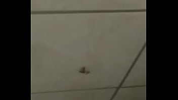 Baratas fodendo loucamente vericalmente pt2