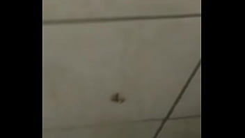 Baratas fodendo loucamente vericalmente pt2