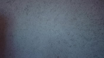 Panties try on haul thong only ass shaking teasing free