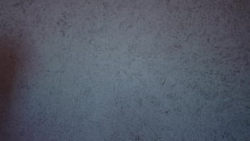 Panties try on haul thong only ass shaking teasing free