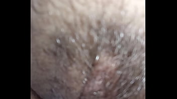 Pelo lucido pussy jun 07 2025