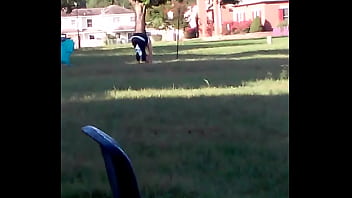 20170920 083255 thumbnail