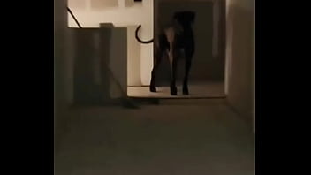 My secret door is done oh the things no one will ever know about unless you follow my other tatiana steele69 stores