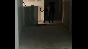 My secret door is done oh the things no one will ever know about unless you follow my other tatiana steele69 stores