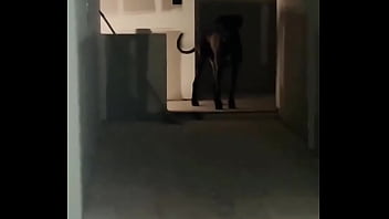 My secret door is done oh the things no one will ever know about unless you follow my other tatiana steele69 stores