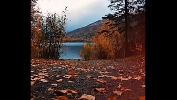 Vídeo de verificação