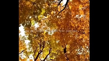 Vídeo de verificação