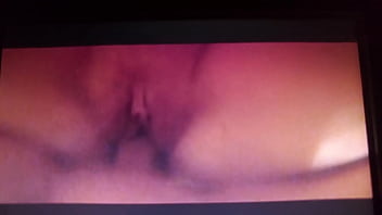 Working together to get a nut tigerbutterfly and flwersgroguap