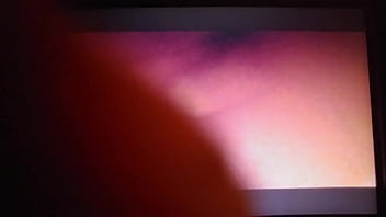 Working together to get a nut tigerbutterfly and flwersgroguap