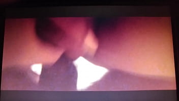 Working together to get a nut tigerbutterfly and flwersgroguap