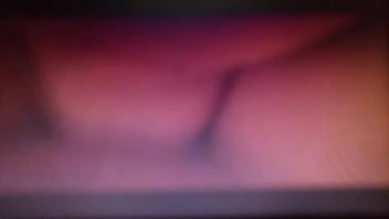 Working together to get a nut tigerbutterfly and flwersgroguap