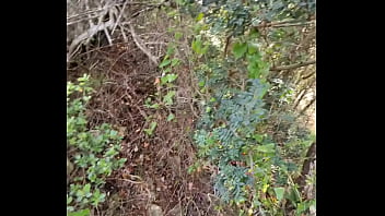 Extrait baiser en forêt