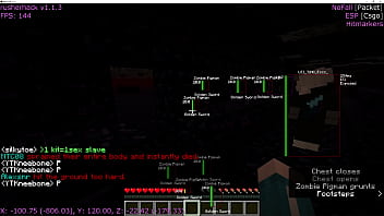 Outdated anarchy minecraft server video