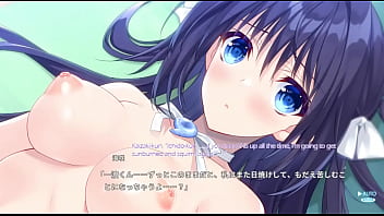 Hentai visual novel