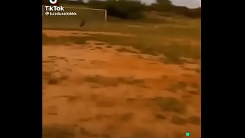 Receba Receba