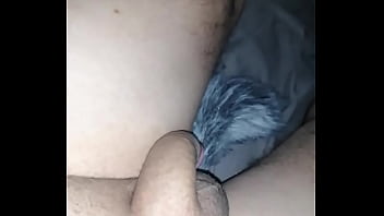 Anal fox Anal fox