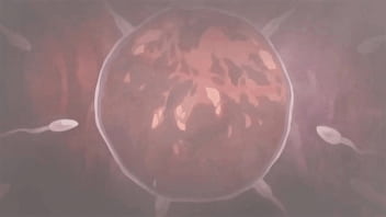 Roblox snowbunny gets gangbanged at a club