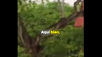 Nunca te rindas en tu camino #historia #chiclenoticias #esfuerzo #elchicletv #trabajo #sacrificio #atrevidoypegajoso