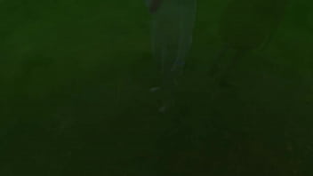 Excitada Tina Peeping Pede Chupada Da Amiga No Jardim thumbnail