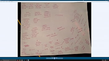 Su broadcast by gunsmokegames on picarto from september twenty fifth 2022