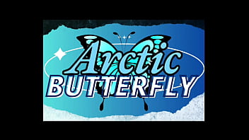 Arctic butterfly s3