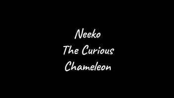 Ia photos neeko league of legends