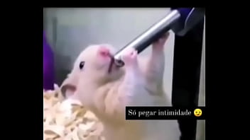 Segredo da paixão sexshop amazonas