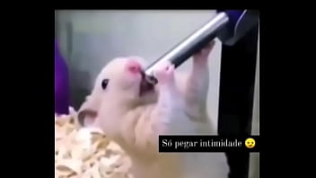 Segredo da paixão sexshop amazonas