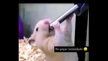 Segredo da paixão sexshop amazonas