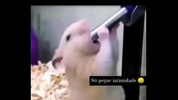 Segredo da paixão sexshop amazonas