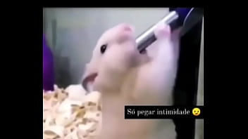 Segredo da paixão sexshop amazonas