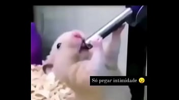 Segredo da paixão sexshop amazonas Segredo da paixão sexshop amazonas