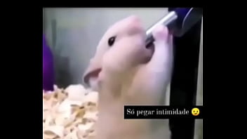 Segredo da paixão sexshop amazonas