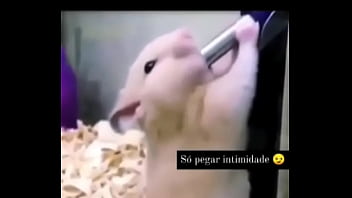 Segredo da paixão sexshop amazonas Segredo da paixão sexshop amazonas