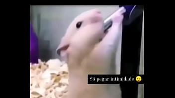 Segredo da paixão sexshop amazonas