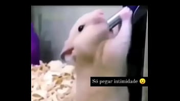 Segredo da paixão sexshop amazonas