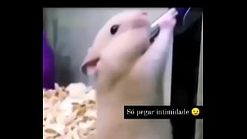 Segredo da paixão sexshop amazonas