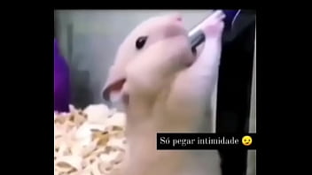 Segredo da paixão sexshop amazonas