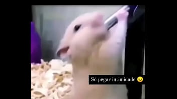 Segredo da paixão sexshop amazonas