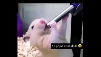 Segredo da paixão sexshop amazonas