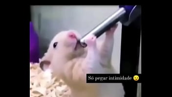 Segredo da paixão sexshop amazonas