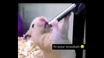 Segredo da paixão sexshop amazonas