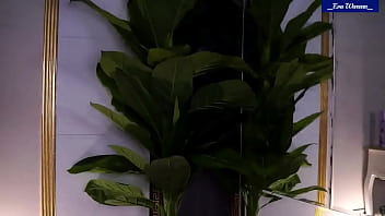 Little titty blonde eva warenn #23