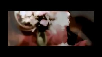 Past times avi summer b